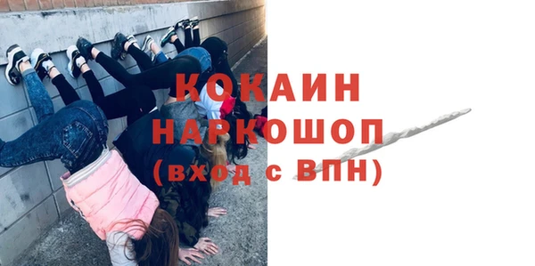 МДПВ Каменногорск