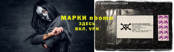 стафф Каменка