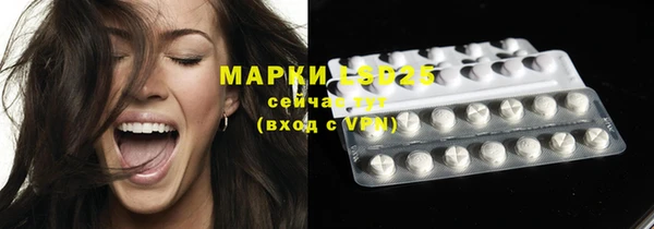 стафф Каменка