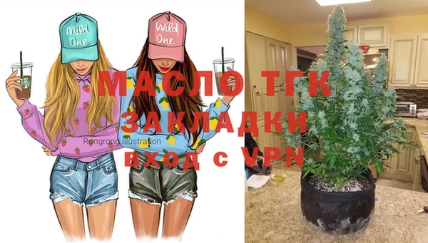 МДПВ Каменногорск