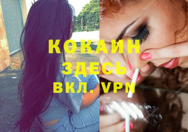стафф Каменка