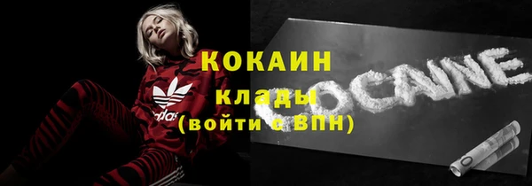 стафф Каменка