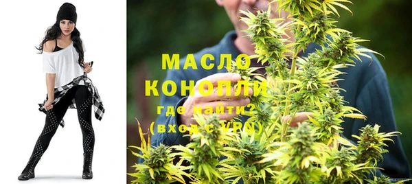 стафф Каменка