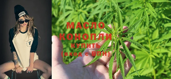 МДПВ Каменногорск