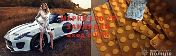 стафф Каменка