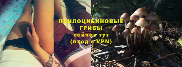 стафф Каменка