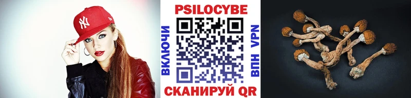 Галлюциногенные грибы Psilocybine cubensis  Купить закладки  Железноводск 