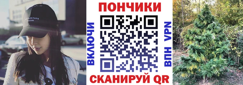 Купить  Железноводск  Каннабис сатива 